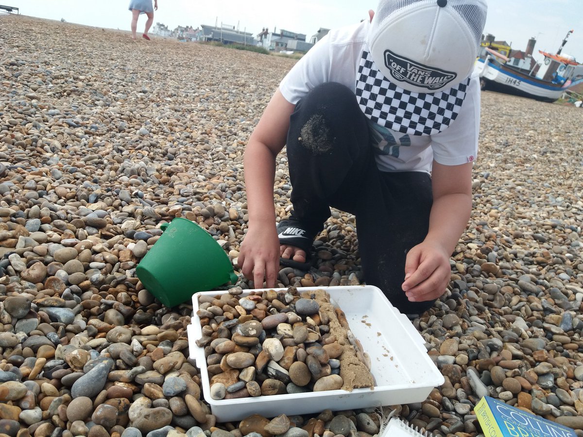 SWTlearningteam's tweet image. As part of #NationalMarineWeek our team were down in Aldeburgh today with families doing #wildbeach activities such as making a beach in a tray! There are loads more events to get involved with all down the coast, find them at suffolkwildlifetrust.org 🐙🦀🐚