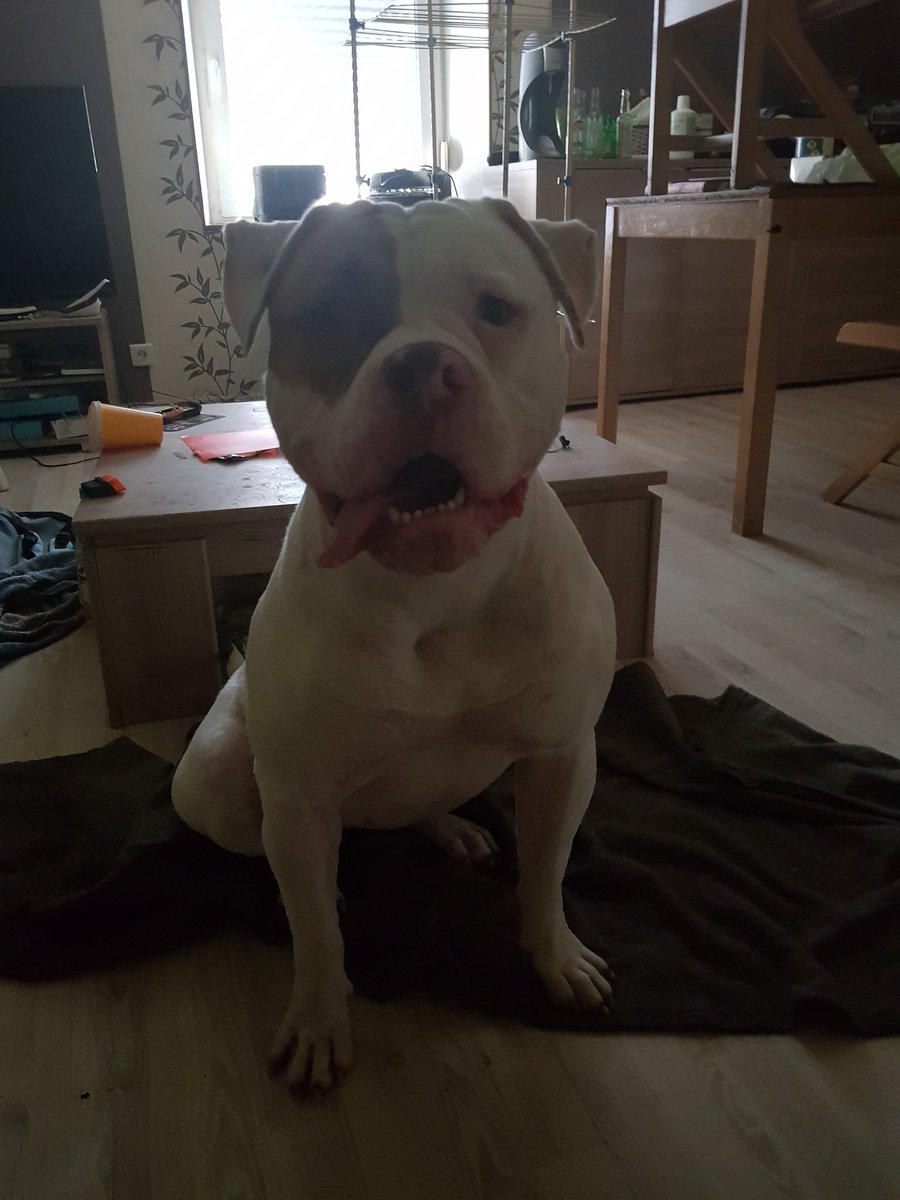 Une nouvelle amie pour quelques jours 😁😁😁😁 @DiscreteAliyah @DiiiSilv <a href="/IsisMystic/">(+18) IsisMystic 8K</a> <a href="/she_wolf_emm/">Emma</a> <a href="/BarbyThurik/">BarbyThurik 🔞</a> <a href="/DeniseDenise__/">°•Den°•🦇</a>