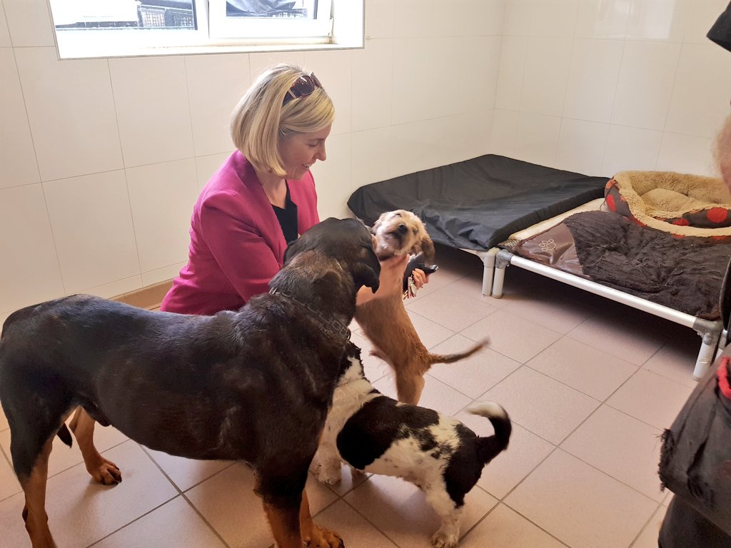 andreajenkyns's tweet photo. So happy to visit Whitehall Dog Rescue in #EastArdsley who have a no kill policy - it was great to meet another animal rights activist, Brian, who's passion really drives this excellent project forward 🐕

Visit their webpage to see how you can help- https://t.co/ZMf8IxtN93 https://t.co/4UfdY8P4pL