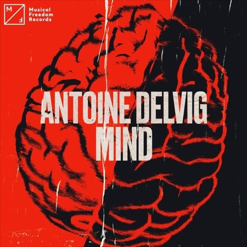 Dancerituals1's tweet photo. #DR060 #DanceRituals
09. @antoinedelvig - Mind [@musicalfreedom]

https://t.co/NHscQANaY4 https://t.co/dIBZF2dklg