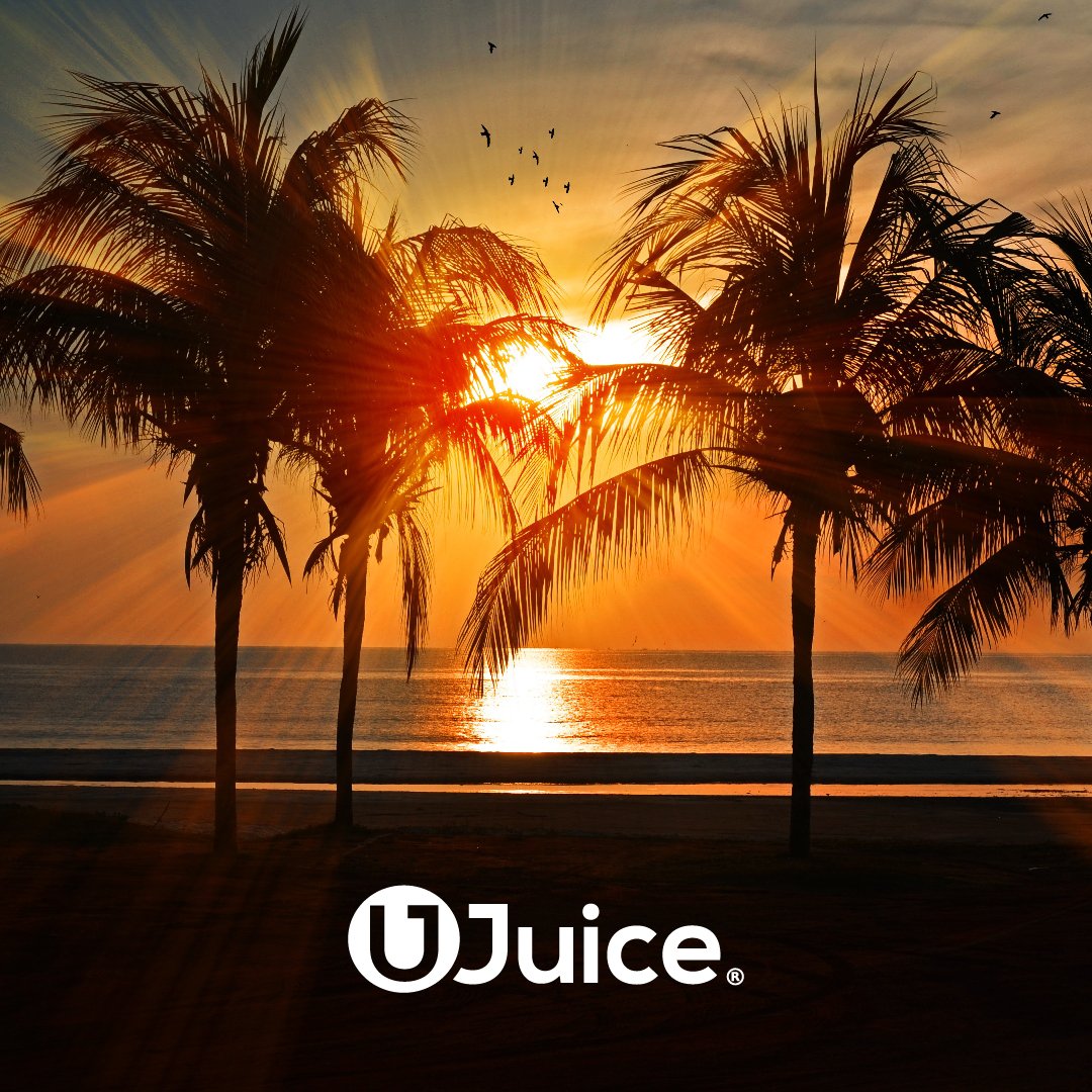 VapeUJuice's tweet photo. Happy Friday! ☀️ Enjoy your summer with your favorite UJuice flavor.
.
.
.
#summer #ujuice #vapeujuice #vape #vaping #summervibes #vapesociety #vapestagram https://t.co/I0ADrwPkt4