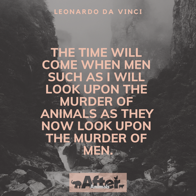 #LeonardodaVinci knew the killing of any sentient being is murder. Eyes are opening now -- and After Animals is so glad to be part of the shift. #compassionoverkilling #animaladvocate #endfactoryfarming #plantbasedalternatives