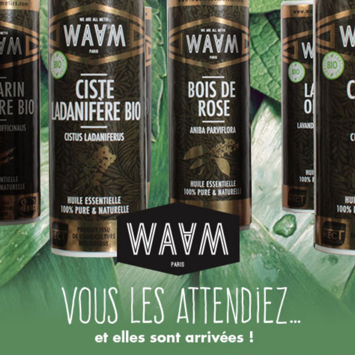 WAAM Cosmetics tweet media