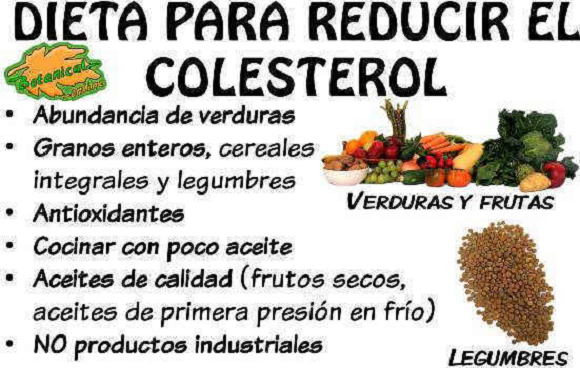 Comidas saludables para bajar el colesterol