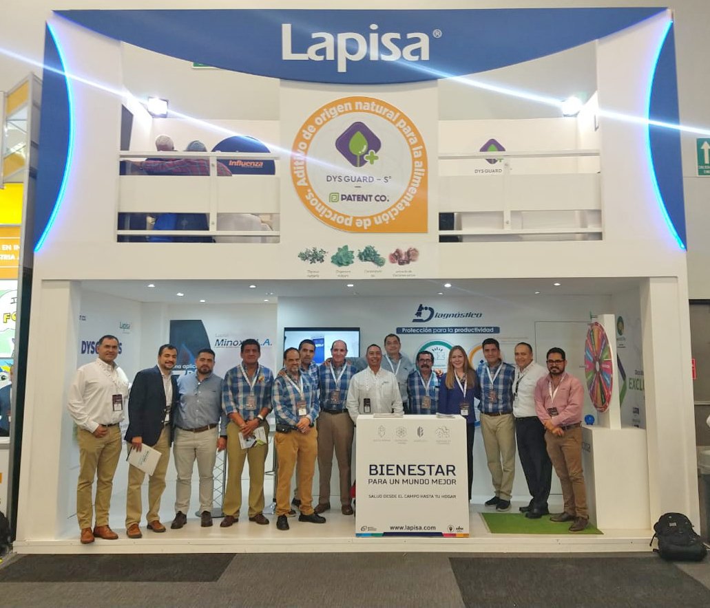 Lapisa tweet media