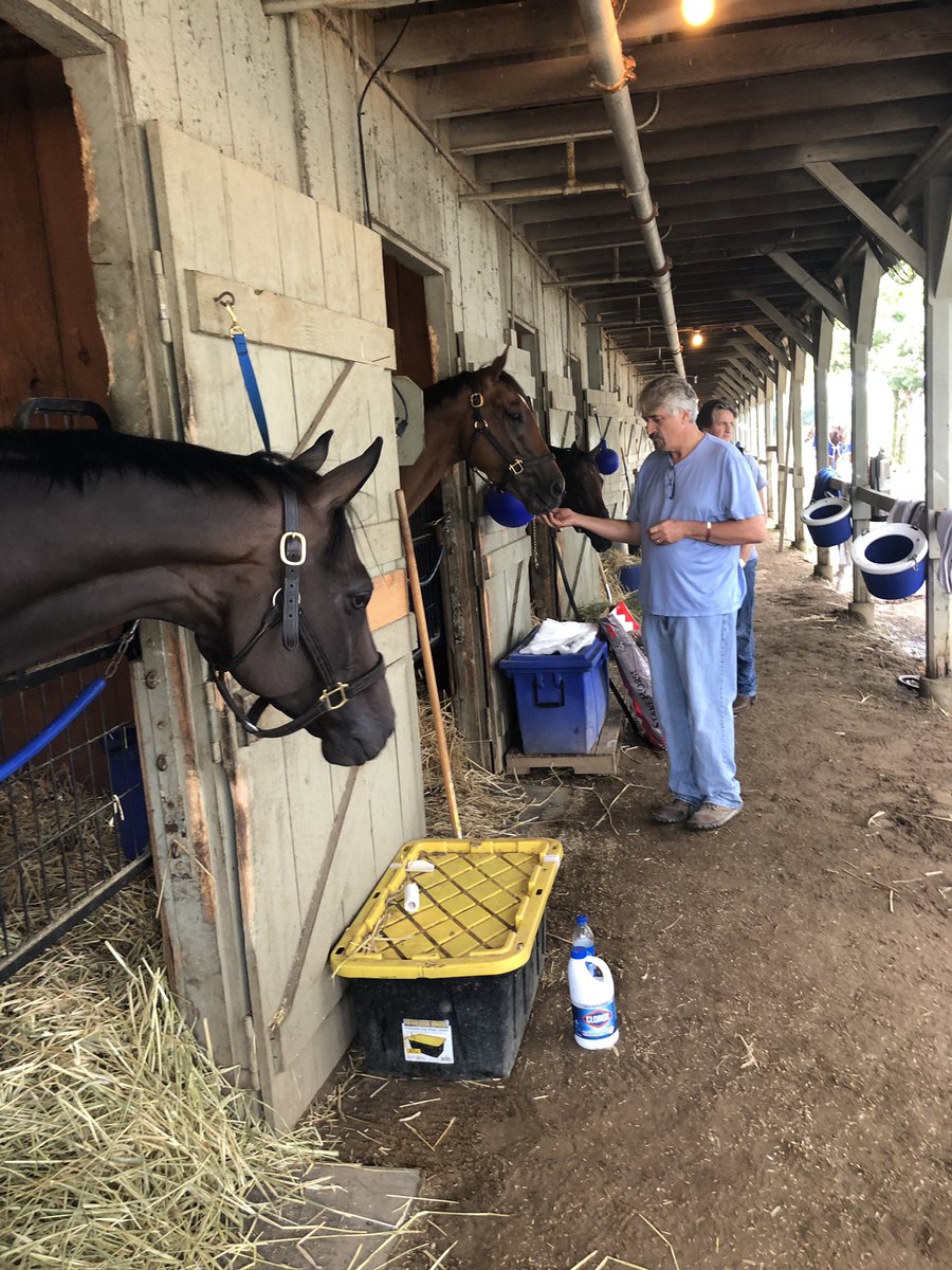 Bradley Weisbord tweet media