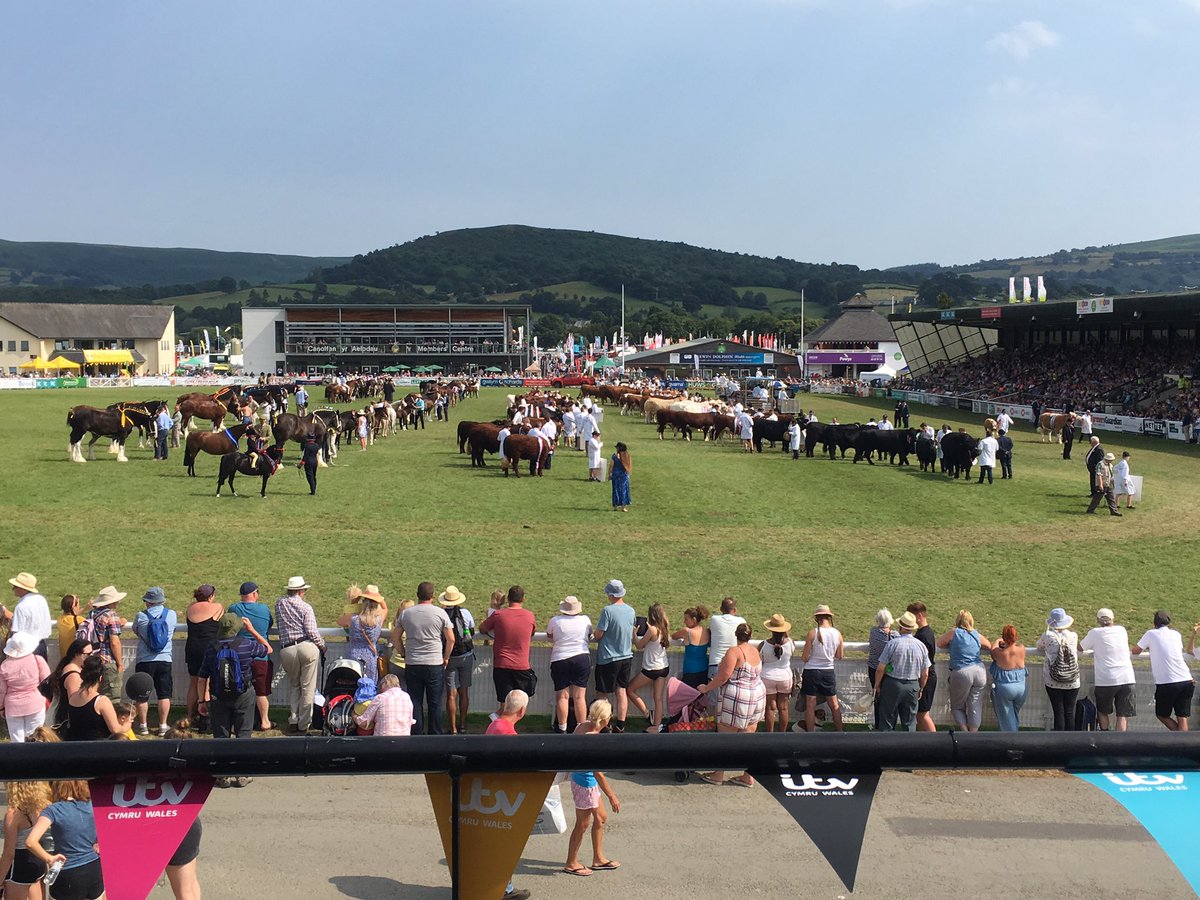 hannahthomastv's tweet photo. This is your five minute warning!!! @itvcoastcountry from the @royalwelshshow is at 8pm on @itvwales 😃 #RWS100 #RWS2019 https://t.co/3tld8OR9y2