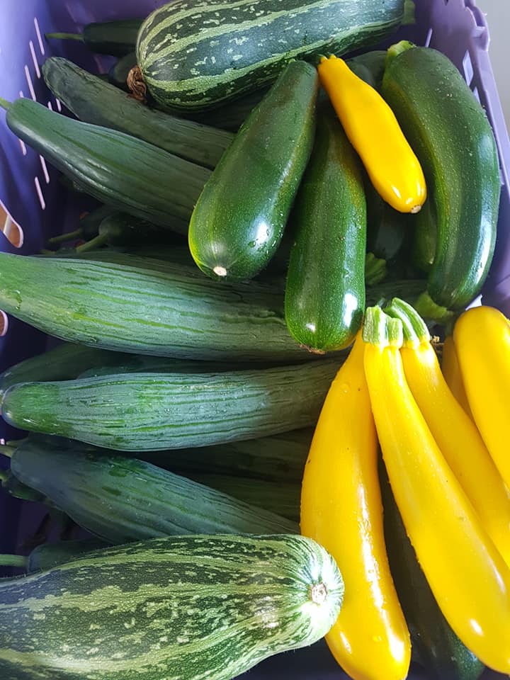 SuperNaturalU's tweet image. What you buy and from who really does matter - let&apos;s make create #sustainable #ecocommerce with our choices an everyday election of the world we want - this delicious produce is health n goodness not poison for profit, grown by small people employing people not gadgets n apps