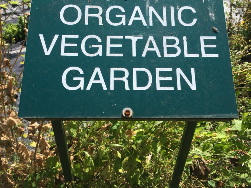 SuperNaturalU's tweet image. What you buy and from who really does matter - let&apos;s make create #sustainable #ecocommerce with our choices an everyday election of the world we want - this delicious produce is health n goodness not poison for profit, grown by small people employing people not gadgets n apps