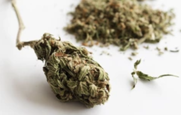 Ontario Cannabis Store tweet media