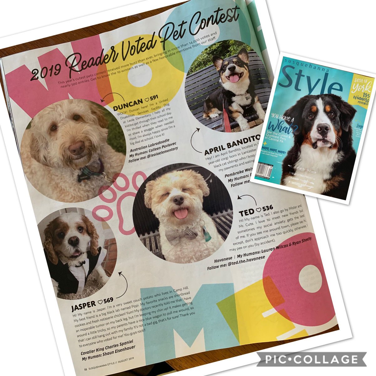 LeolaElementary's tweet photo. Way to go Leola! Duncan thanks you for voting for him. He’s our celebrity and the issue of Susquehanna Style came today! #duncan #servicedogs #udsservicedogs #uds #leolaelementary #leolaproud https://t.co/oTE8HRqaj1