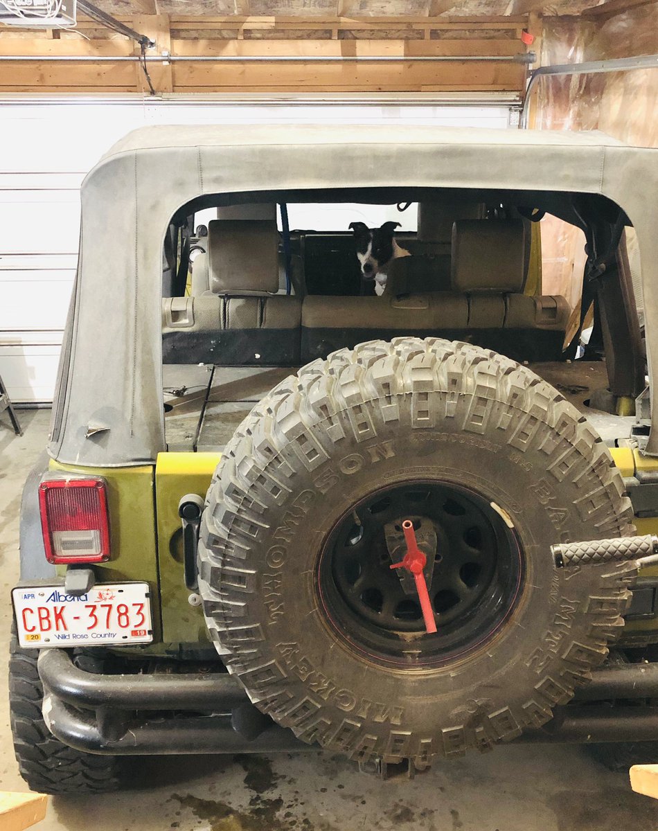 firgeorge's tweet image. Someone seems to think we should go for a car ride to the river. She is refusing to come inside the house lol. #stubbornpup