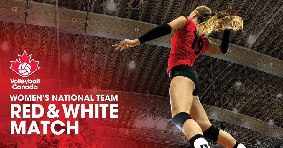 express_vc's tweet photo. We're spotlighting inspirational people and teams to follow on #followbackfriday This Friday, we want you to check out @canwvb and follow their journey to the Olympics! Who do you follow?? Comment below! #expressvc #joy #technique #support #inspiration https://t.co/yL4VuFAiKz