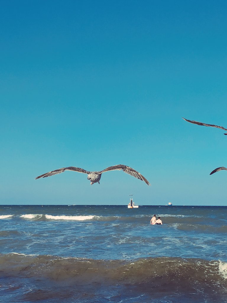 LadyAlexisLP's tweet photo. Heute #Travemünde #Strand. War aber ohne scheiß kühl vom starken Wind dort. Deswegen wieder früher gegangen und hängen jetzt in #Lübeck rum, weil #Bahnausfall wegen Feuerwehreinsatz! 🙌🏻 https://t.co/sqYPYcHNSV