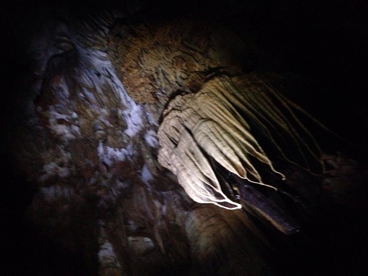 roiiroiiro's tweet photo. best escape in this hot days to 8°C at Planina Cave #PlaninskaJama #PlaninaCave #Olm #Proteus #HumanFish #Cave #UndergroundCave #UndergroundRiver #stalagmite #stalactite #inspiration #new_prorect_in_the_making #Lygophilia #DarkDrops https://t.co/oxowVD2NZI