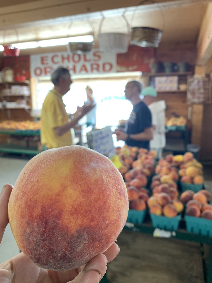JaemorFarms's tweet photo. Can you smell the weekend yet? We can@๐๐ผ๐ #exploregeorgia #exploregeorgiafarms #gafarmlife #georgiagrown #georgia #georgiapeach #georgiapeaches #discoveratl #accessatlanta #discoverlakelanier #exploregainesvillega #foodie #foodiefinds #atlfoodie #peaches #jaemorpeaches https://t.co/VlEXG276q9