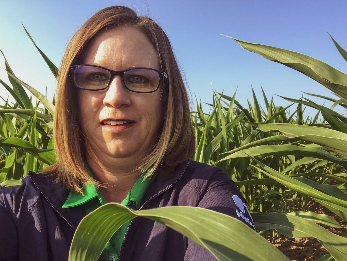 Corn crop selfie from Ontario earlier this week. Have a safe weekend everyone. #corn #eastcdnag