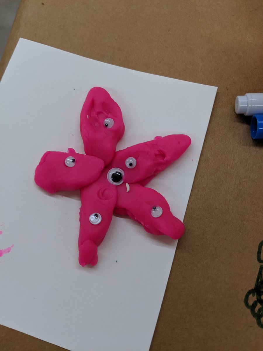 gnomeopolis's tweet image. Today, my son made a crab, starfish, turtle and shark by himself! Teacher only helped on the first two. We're gonna miss #campcreativity