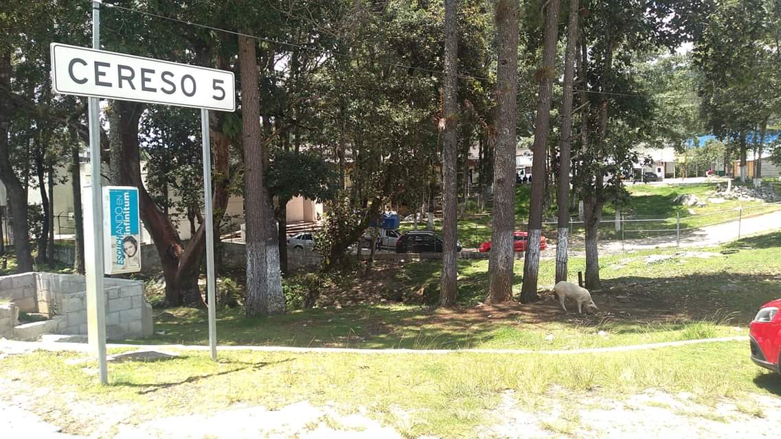 Agradecemos a los medios que en el ejercicio de la libertad de expresión dan voz a Juan, Adrián, Germán y Abraham.🎙

✍ #Firma bit.ly/2YrGjaK

Foto: Visita al CERSS. 05. @ Felix Camas