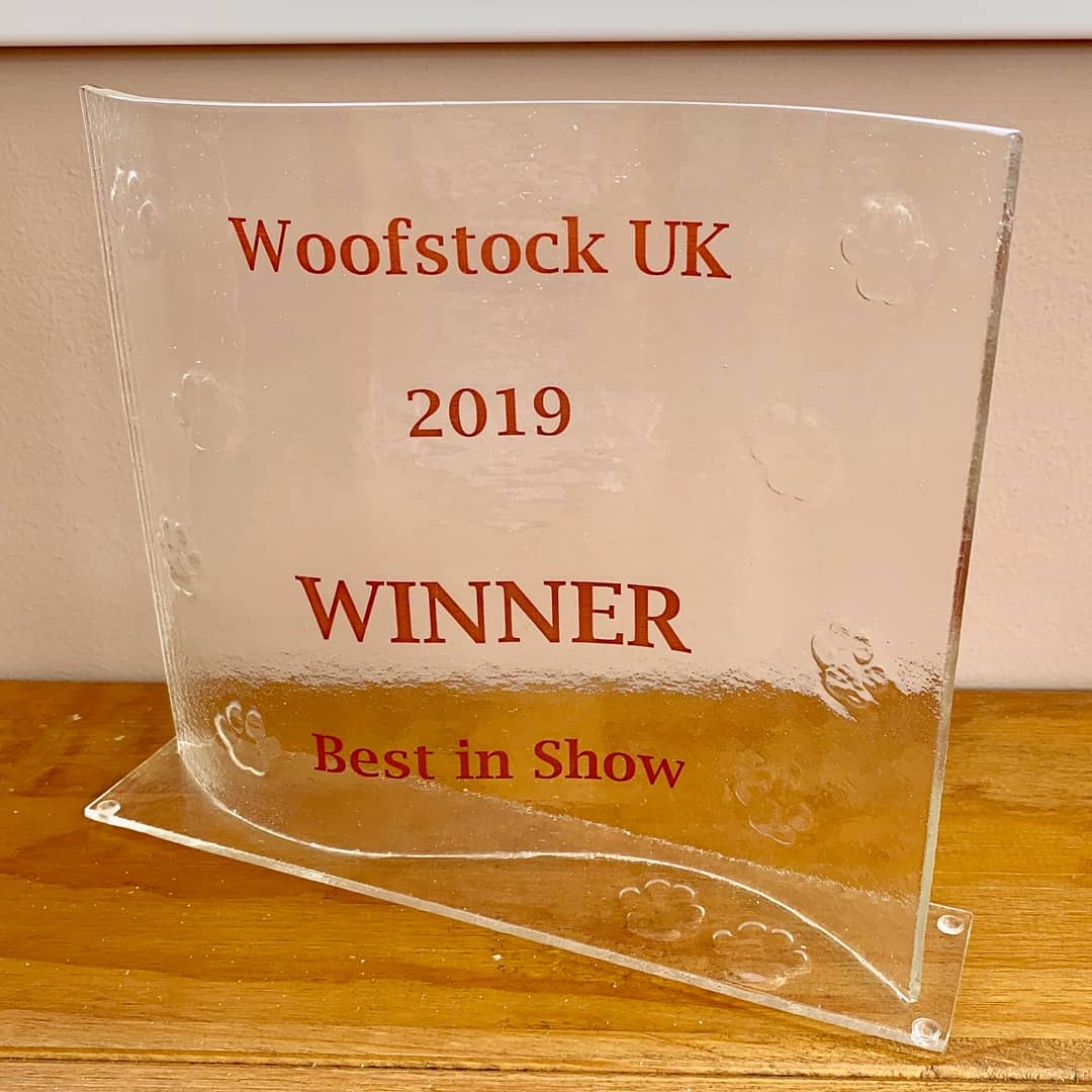 woofstockuk's tweet image. So here they are. Will your pooch walk away with one of these pawsome #woofstockuk2019 trophies? Thank you @Studio56fg for producing these beautiful works of art yet again. 🐾🐕♥️🏆