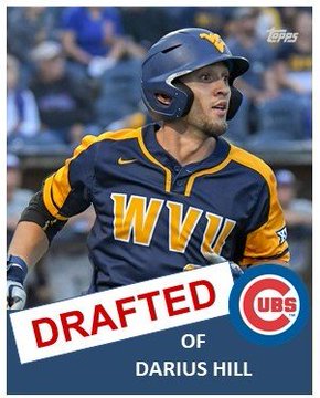 Prospect Profile Darius Hill Grinding Hard Already Cubs Central