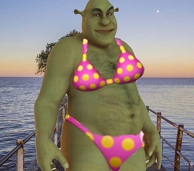 shrek in a bathing suit.