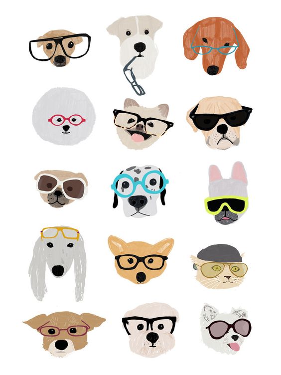 StMarysOptom's tweet photo. Which one's your fav? #happyfriday https://t.co/jgq8mEgZTz