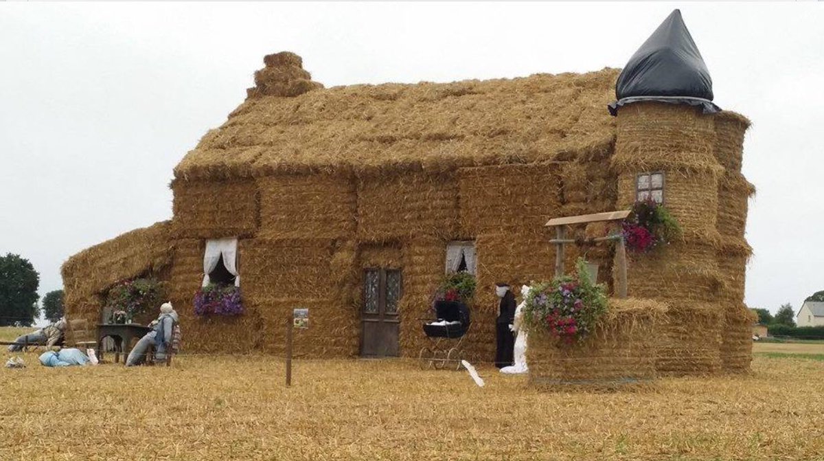 Purehorsebedding (@purehorsebeddi1) on Twitter photo 