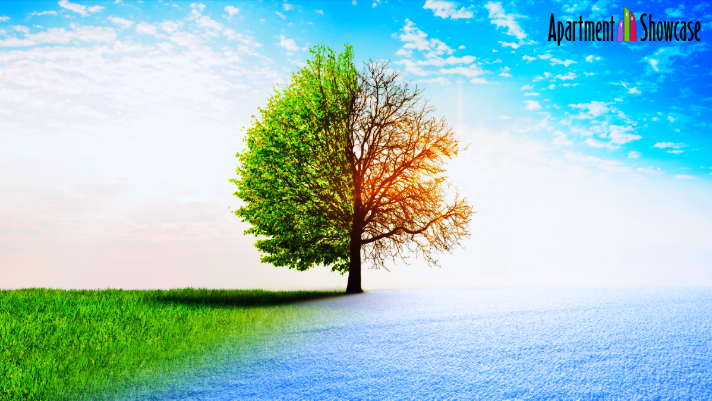 AptShowcase's tweet image. Is #summer the best time to move into a new #apartment or #winter? The majority suggest summer is superior. There are a number of #pros and #cons that go along with each #season.
#summervswinter #apartmentshowcase #weathereffects #costofmoving #DMV #ASH

ow.ly/KPif50vdbJU