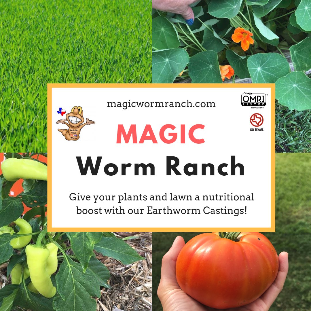 magicwormranch's tweet image. Come see us at @MarketTomball Saturday 9-1! #wormcastings #soilamendments #organic #nutrientrich #soilmicrobes #soilhealth #planthealth #livingsoil #soilfoodweb #garden #landscape #hempfarming #feedyoursoil #wormpoop #teamingwithmicrobes #omrilisted #gotexan #local #farmersmarket