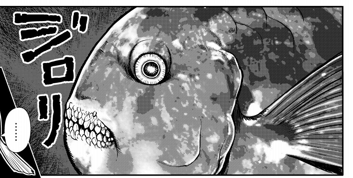 銛ガール 第6話 現在無料公開中です ビギナーにはおなじみの あの魚が登場し 岩国ひろひと 草野と希 巻発売中の漫画 銛ガール 第6話 現在無料公開中です ビギナーにはおなじみの あの魚が登場し 岩国ひろひと 草野と希 巻発売中の漫画