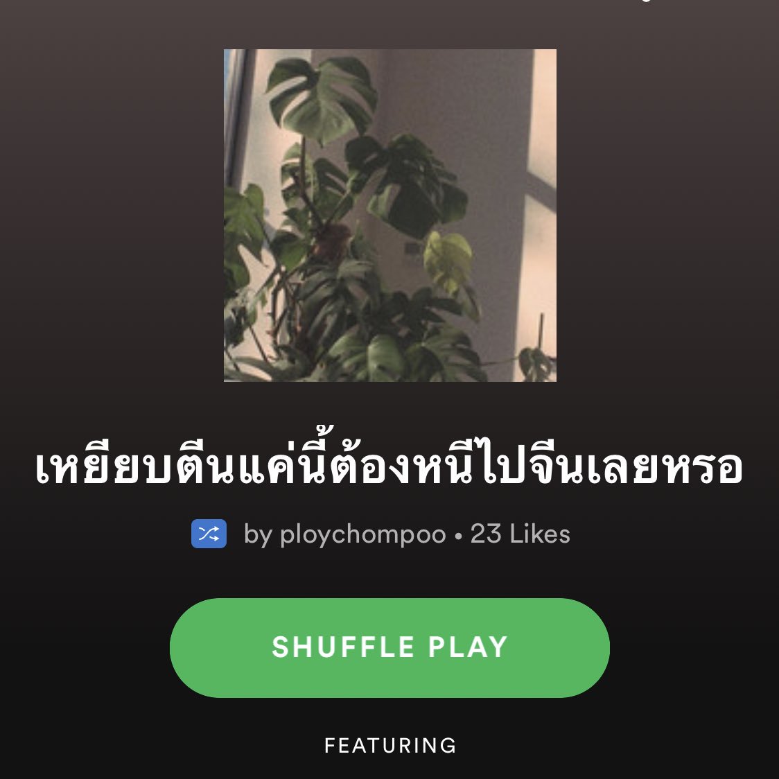 pachat 𐙚 tweet media