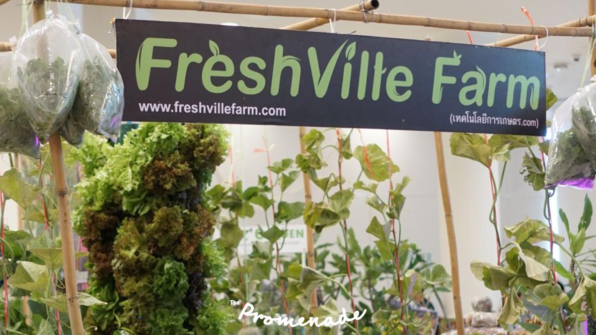 ThePromenadeTH's tweet photo. เริ่มต้นกันแล้วกับ!! 🥦 THE PROMENADE FARMER MARKET 2019🍍 พร้อมกิจกรรมพิเศษ ✨รีบมากันเร๊ววว!!

ตั้งแต่วันนี้ – 4 สิงหาคม 2562
📍 ชั้น 1 ศูนย์การค้าเดอะพรอมานาด รามอินทรา

#ThePromenade #LetIsTakeAWalk #สดจากสวนเสิร์ฟจากฟาร์ม #ThePromenadeFarmerMarket2019 https://t.co/f7nhY8qHHa