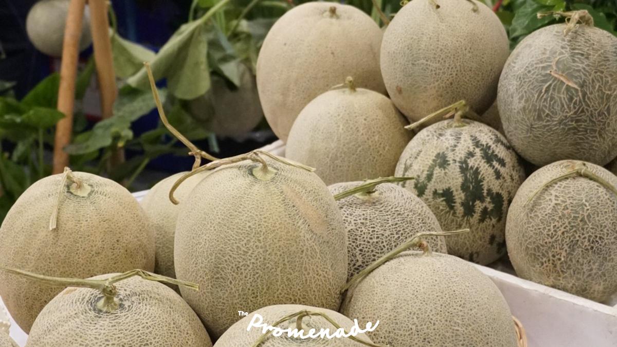 ThePromenadeTH's tweet photo. ผลไม้สด ๆ รสชาติดี จากสวนเกือบทั่วประเทศ 🍍 ไม่มาแล้วจะเสียใจนะ

ตั้งแต่วันนี้ – 4 สิงหาคม 2562
📍 ชั้น 1 ศูนย์การค้าเดอะพรอมานาด รามอินทรา

#ThePromenade #LetIsTakeAWalk #สดจากสวนเสิร์ฟจากฟาร์ม #ThePromenadeFarmerMarket2019 https://t.co/iz2vAK9ZAD