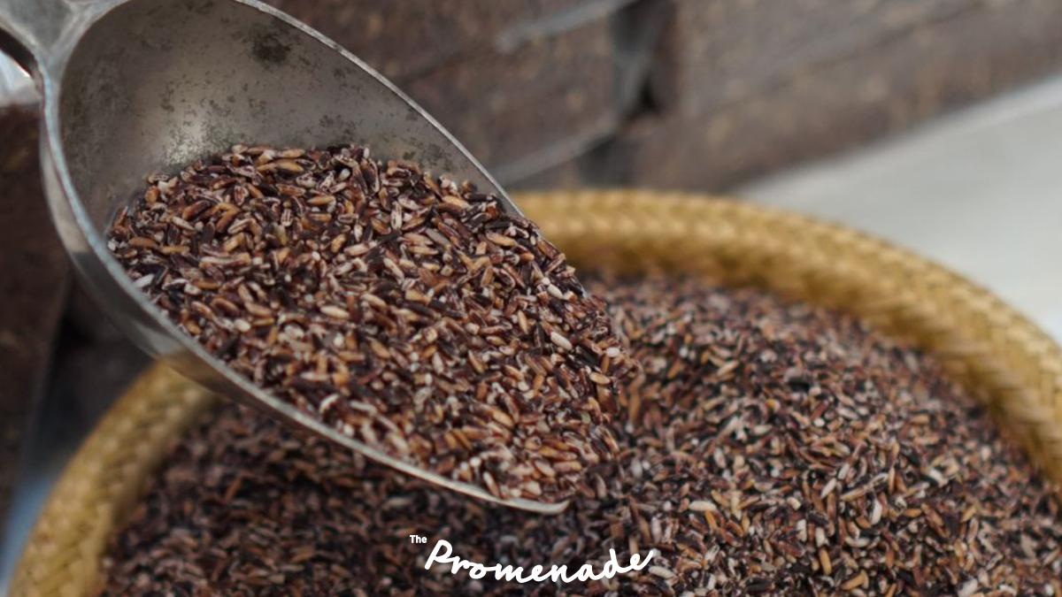 ThePromenadeTH's tweet photo. และยังข้าวหลากชนิด🌾 และชมแปลงนาสาธิต “คันนาทองคำ” ตามแนวพระราชดำริเศรษฐกิจพอเพียง

ตั้งแต่วันนี้ – 4 สิงหาคม 2562
📍 ชั้น 1 ศูนย์การค้าเดอะพรอมานาด รามอินทรา

#ThePromenade #LetIsTakeAWalk #สดจากสวนเสิร์ฟจากฟาร์ม #ThePromenadeFarmerMarket2019 https://t.co/yqHEWtQQYG