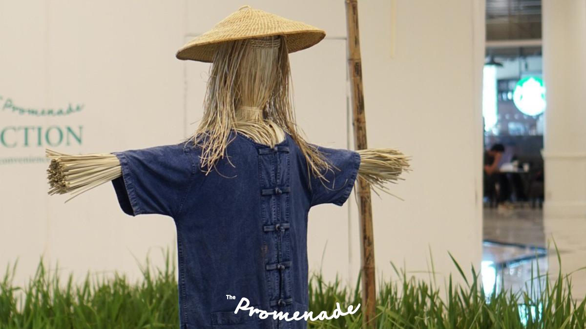 ThePromenadeTH's tweet photo. และยังข้าวหลากชนิด🌾 และชมแปลงนาสาธิต “คันนาทองคำ” ตามแนวพระราชดำริเศรษฐกิจพอเพียง

ตั้งแต่วันนี้ – 4 สิงหาคม 2562
📍 ชั้น 1 ศูนย์การค้าเดอะพรอมานาด รามอินทรา

#ThePromenade #LetIsTakeAWalk #สดจากสวนเสิร์ฟจากฟาร์ม #ThePromenadeFarmerMarket2019 https://t.co/yqHEWtQQYG