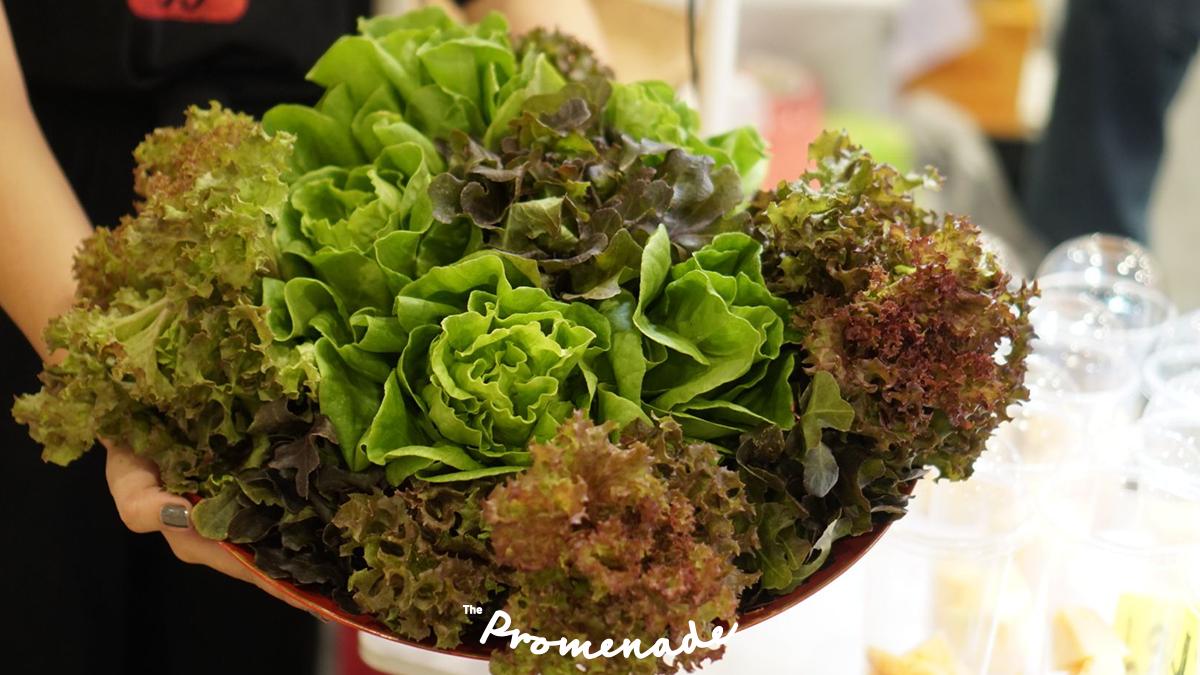 ThePromenadeTH's tweet photo. และยังข้าวหลากชนิด🌾 และชมแปลงนาสาธิต “คันนาทองคำ” ตามแนวพระราชดำริเศรษฐกิจพอเพียง

ตั้งแต่วันนี้ – 4 สิงหาคม 2562
📍 ชั้น 1 ศูนย์การค้าเดอะพรอมานาด รามอินทรา

#ThePromenade #LetIsTakeAWalk #สดจากสวนเสิร์ฟจากฟาร์ม #ThePromenadeFarmerMarket2019 https://t.co/yqHEWtQQYG