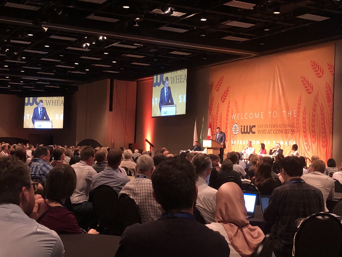 Felicity Harris tweet media