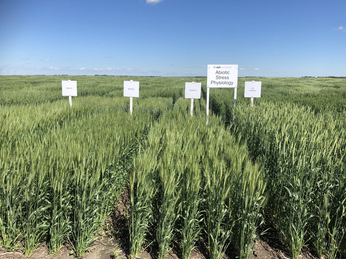 Felicity Harris tweet media