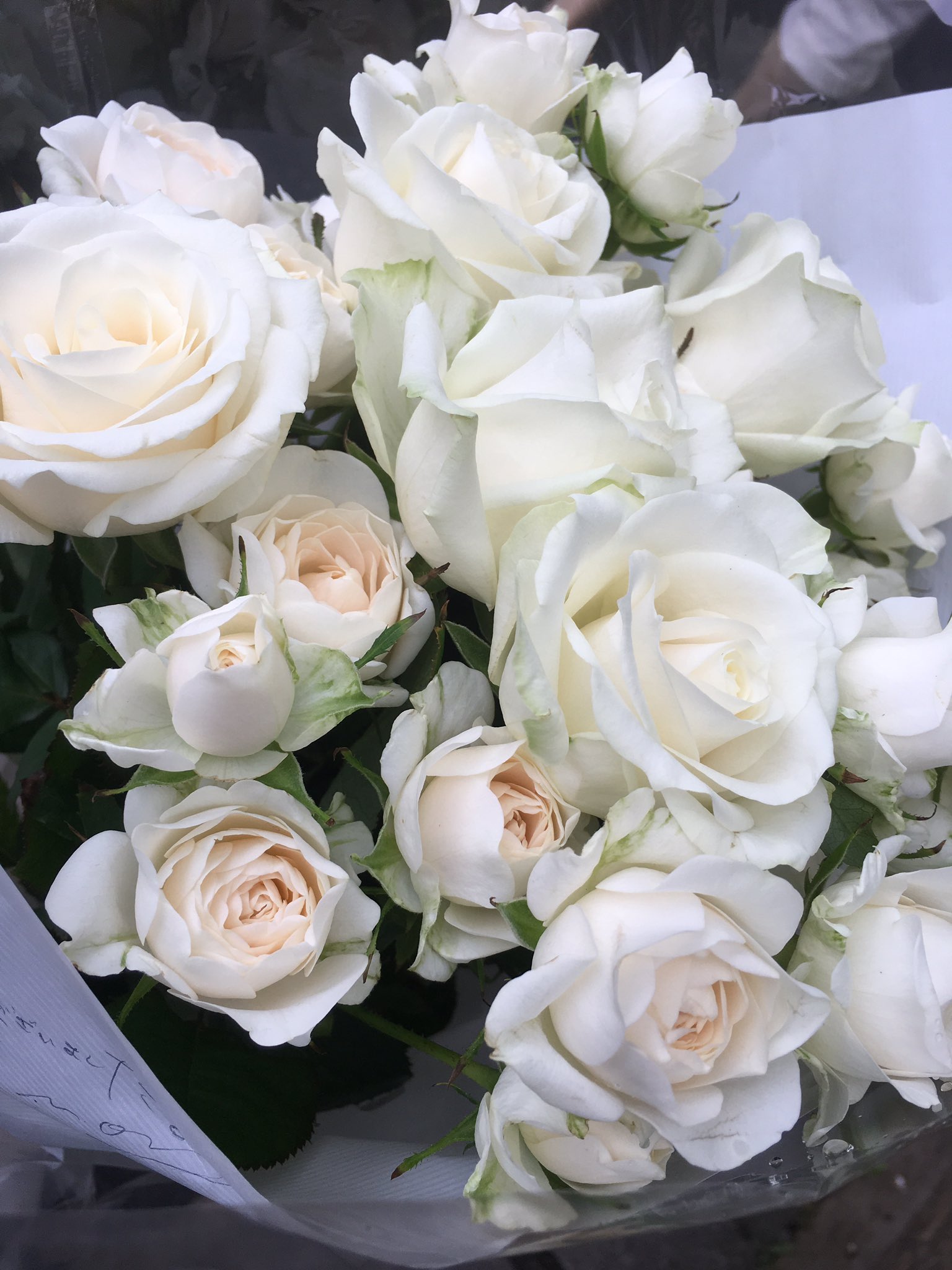 緒方恵美 5 5 囁きの花束 6 6 B Day Live 献花に行ってきました ありがとうございました と 口にするのが精一杯でした T Co 6dxlhss6cg Twitter