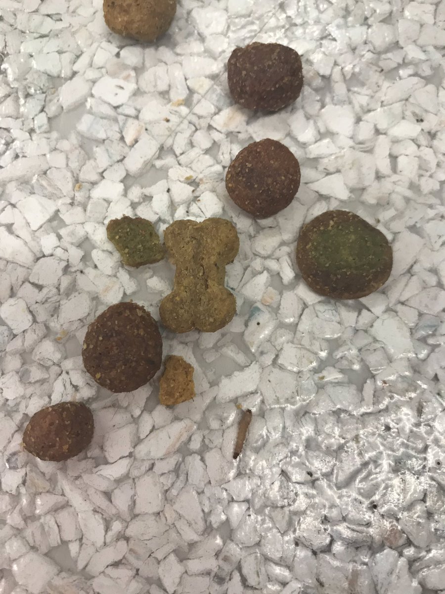 Una desconocida más. Advertencia: Soy de lo Peor⚠️ tweet media