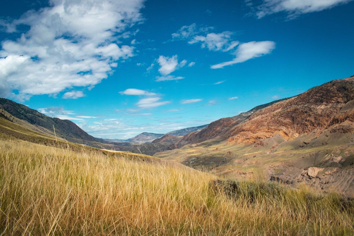 RandWander's tweet image. Got to visit some beautiful locations at work this week! #beautifulbc #getoutside #outdoors #nature #canada #summer #wilderness #beauty #travelblogger #grasslands #mountains #naturephotography #newtophotography #whyIlovemyjob #viewfrommyoffice