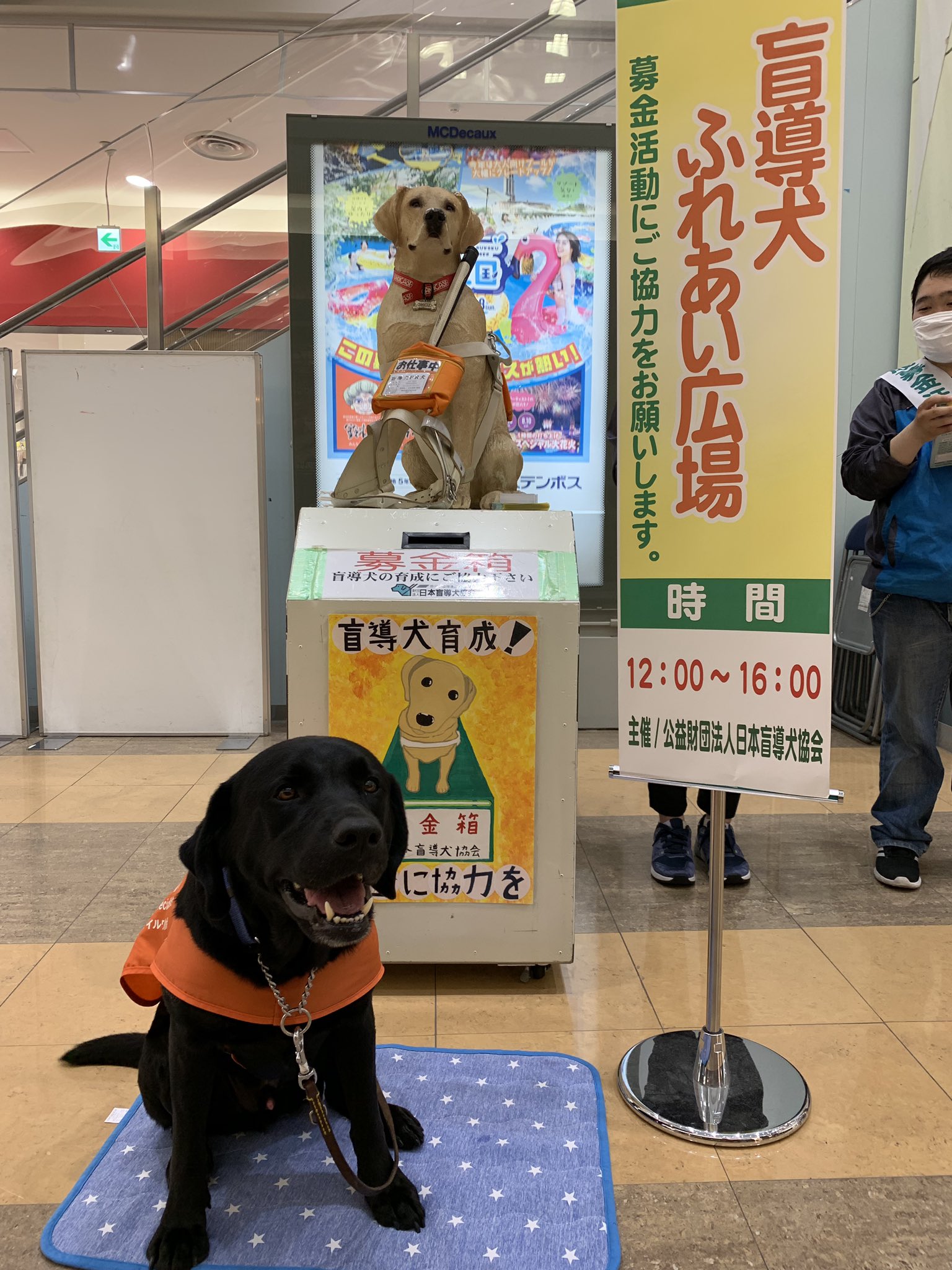 日本盲導犬協会 スマイルワン仙台より 本日 イオンモール盛岡南店にて 盲導犬ふれあい 広場 を開催しています 16時まで1fさんさ広場で募金活動とpr犬とのふれあいを行なっています Pr犬のライフただいまふれあい活動中 ぜひ遊びに来てください