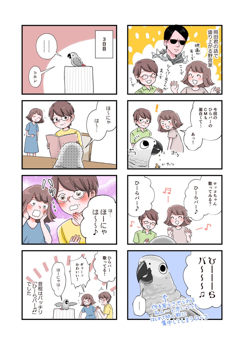 ヨウムのロッコ漫画です。つづきます。ひらパーのCM、面白くて大好きです?✨でも近畿限定…でしたっけ…?
#ひらパー 