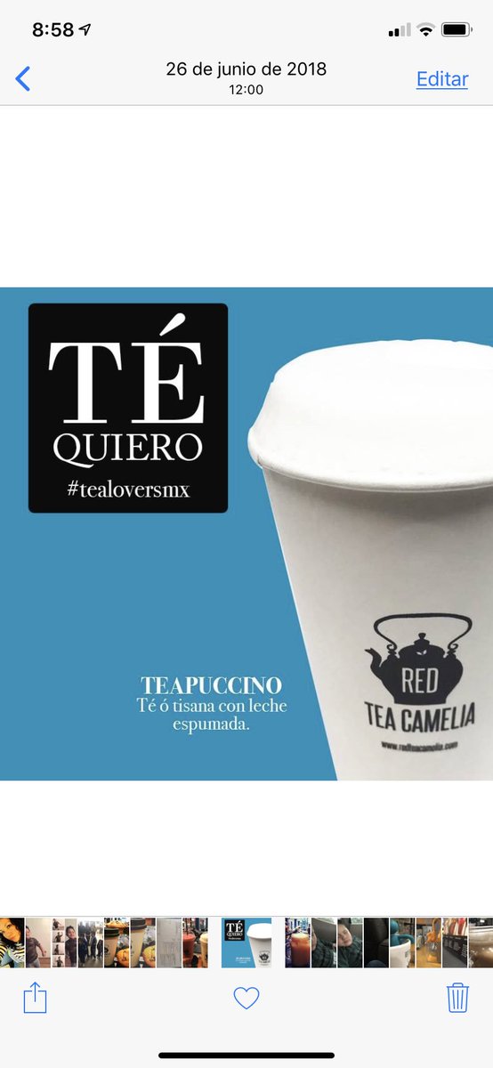 Red Tea Camelia tweet media