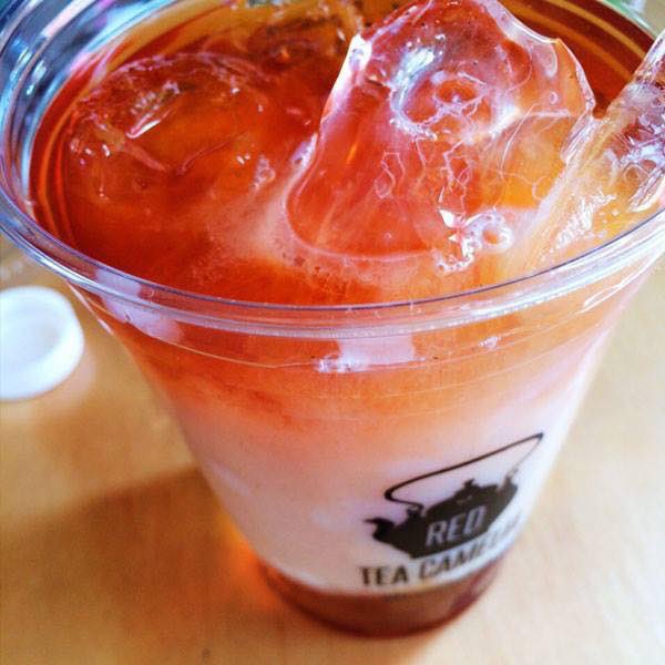 Red Tea Camelia tweet media