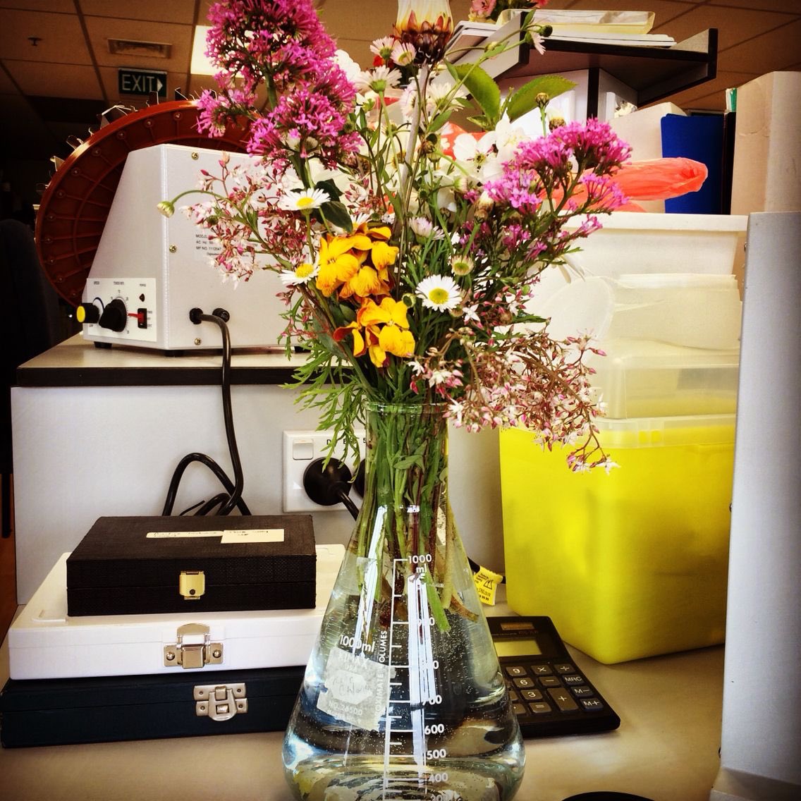 insomniacauden's tweet image. So today I found out erlenmeyer flask flowers are a thing?!?! Bruh if someone did this for me I’d marry them on the spot 🥺😭🥰
#NerdyThings