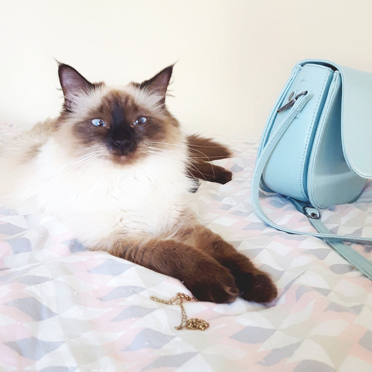 Get your purse, Mommy! We're going shopping!!! 👜 #hotgirlsummer

I mean, we may have to go to the mall just to hang out in the air conditioning!! 🔥