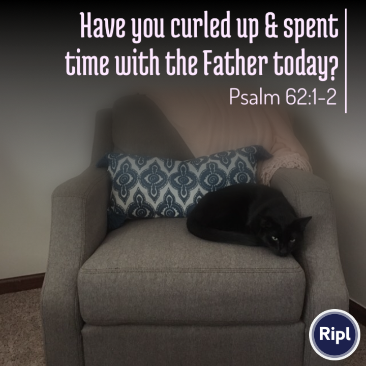 CbusNECBS's tweet photo. #kitten via https://t.co/GkCbIyj277 https://t.co/WWN9J5pEIi