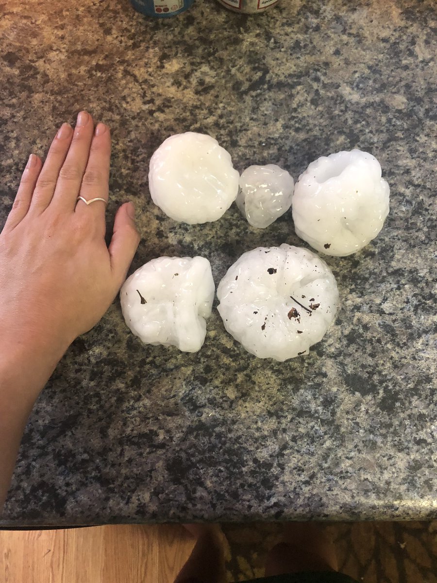 cevminneapolis's tweet image. Fruit of the casual hail storm in Clear Lake, Minnesota. Good to be home. @WCCO @WCCOShaffer